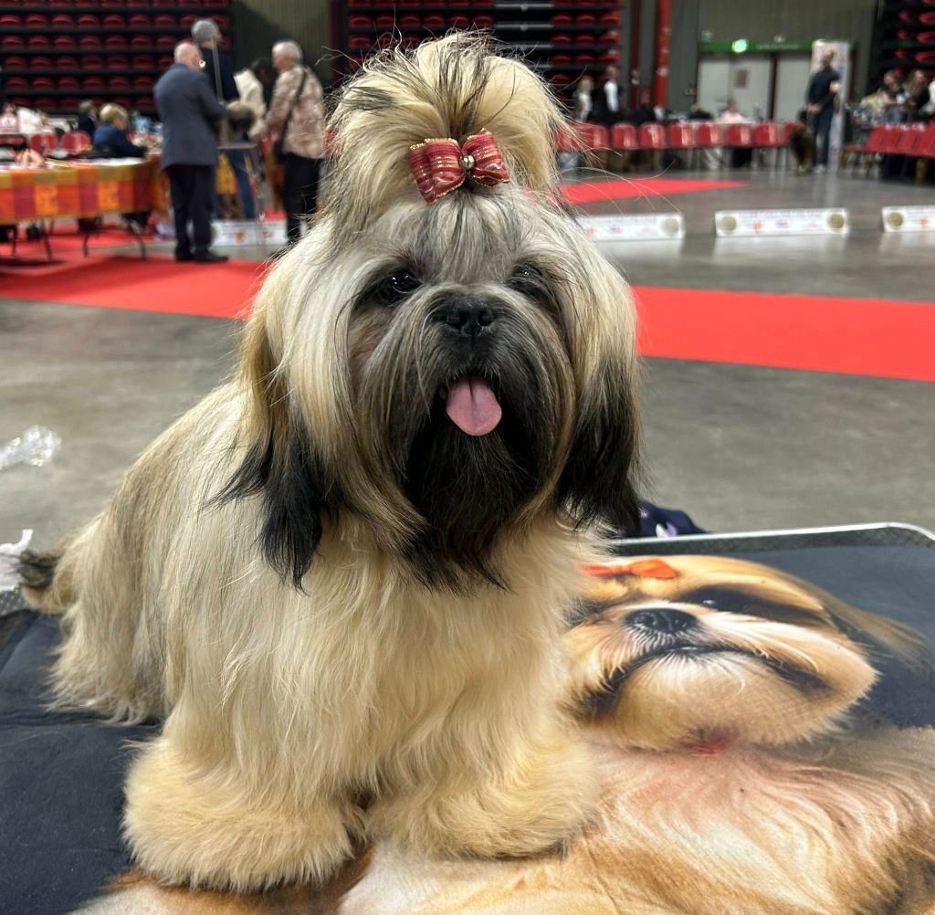 Valencia (Sans Affixe)