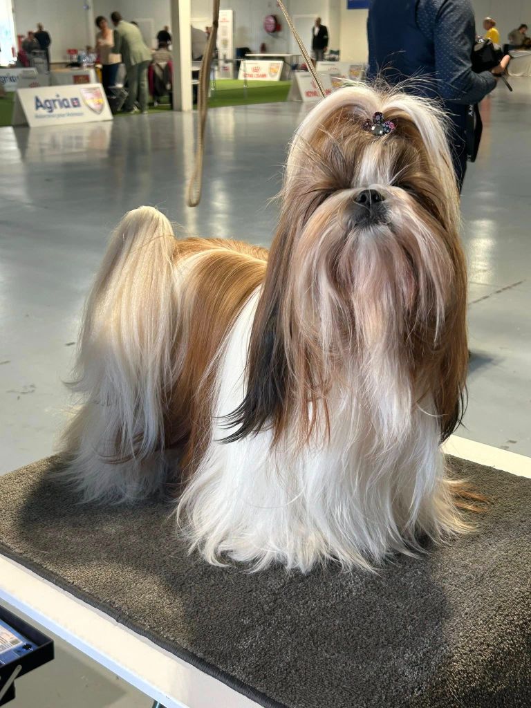 Pinkie love des joyaux du mas enchante